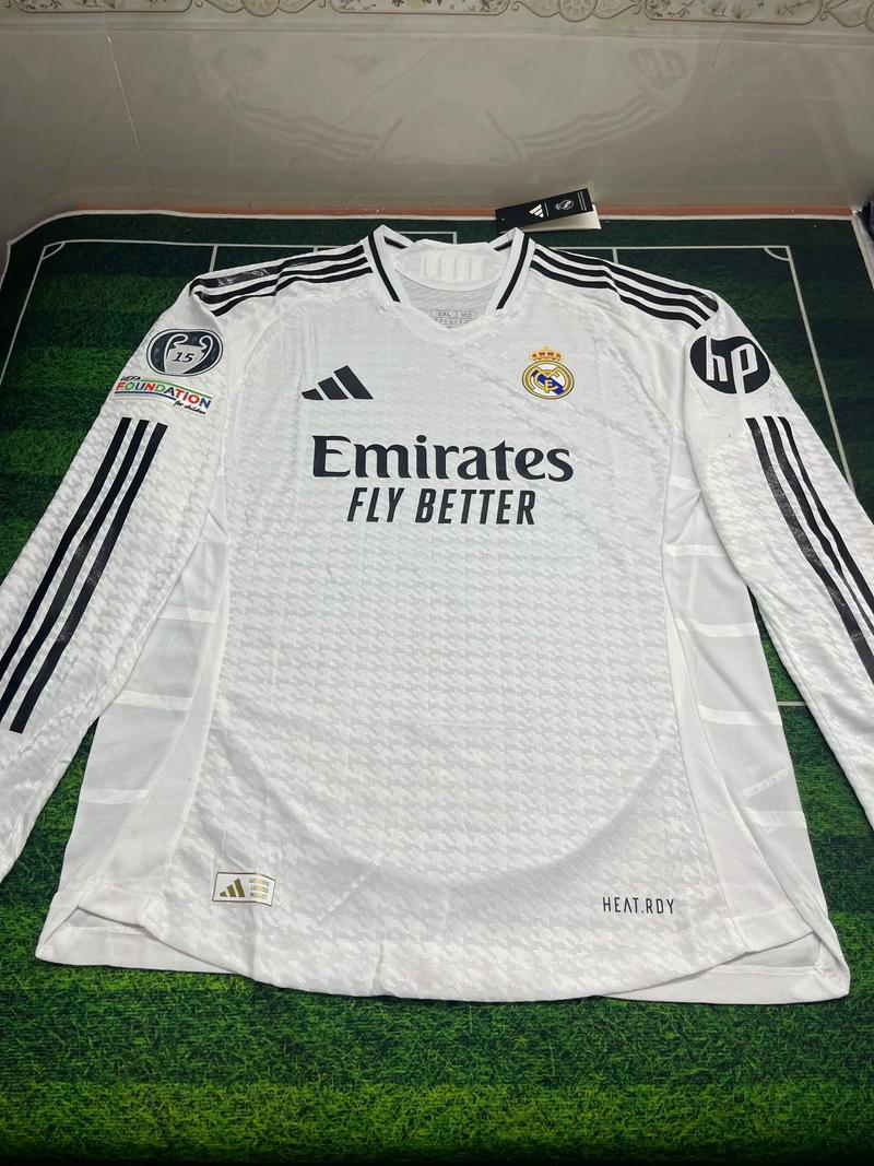 无缘直通世界杯后麦克拉伦辞职，迪尼：他照着稿子念，很虚伪